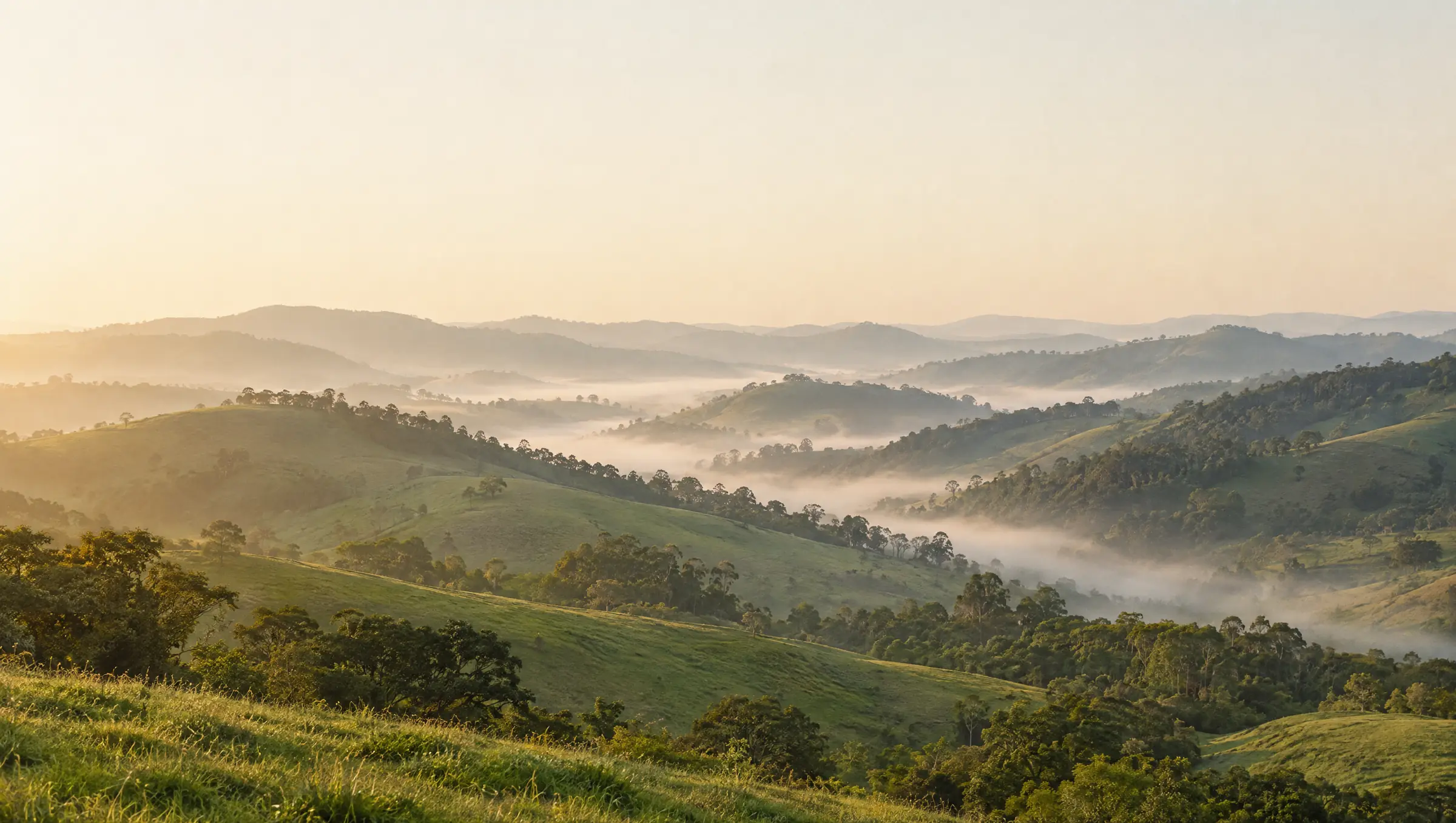 Morros verdes com neblina da manhã na Zona da Mata mineira