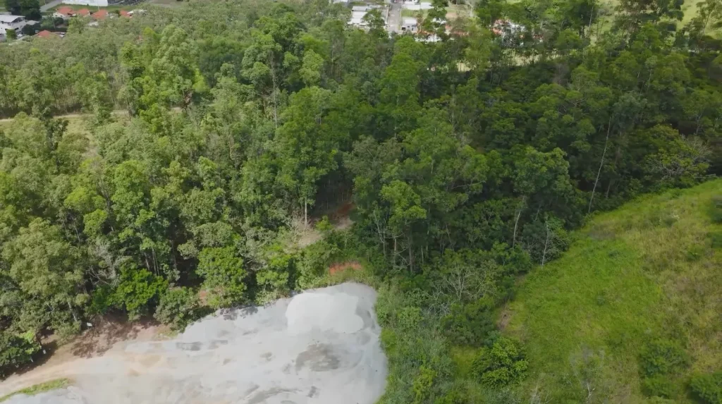 Plantio de árvores em área da MBC