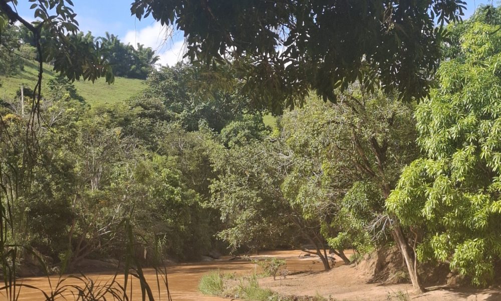 20250421_100024-experiencias-raizes-e-memorias