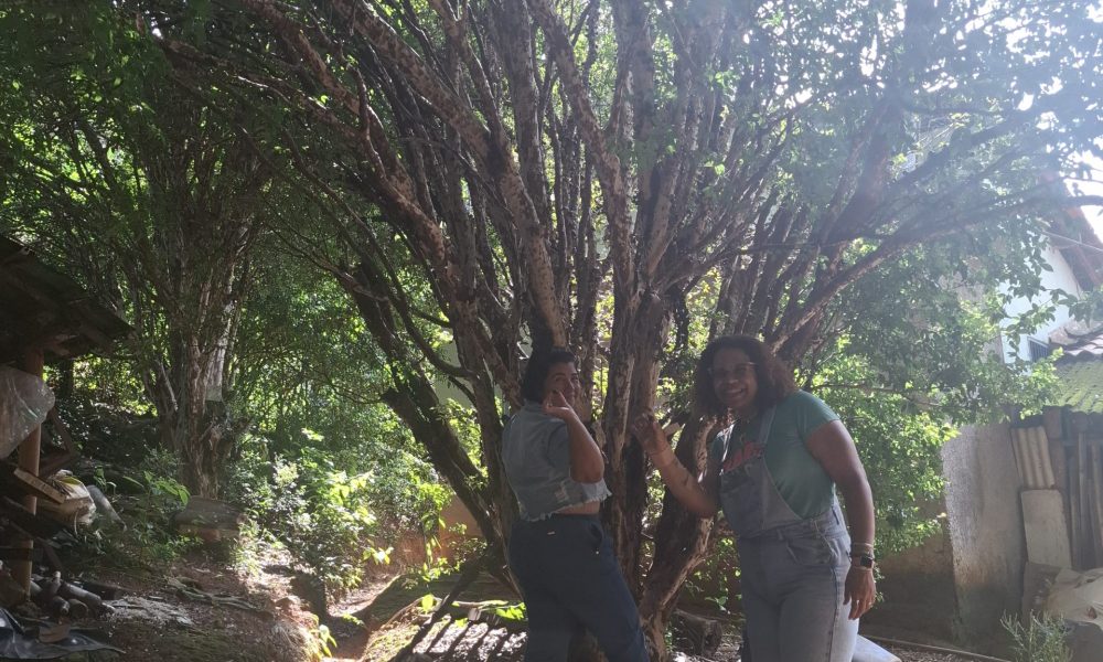 20250421_101316-experiencias-raizes-e-memorias