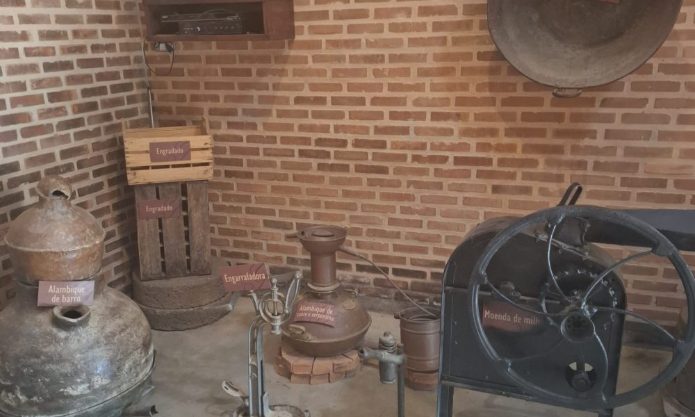 20250421_105930-experiencias-raizes-e-memorias