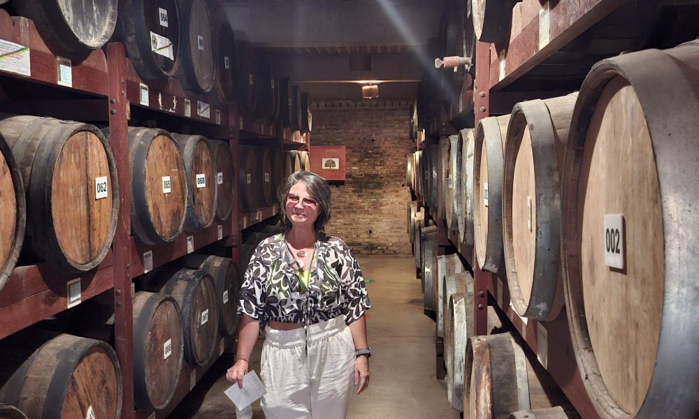 20250421_111009-experiencias-raizes-e-memorias