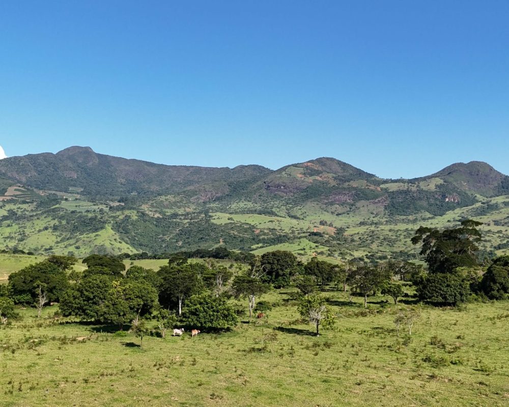 DJI_20250125162737_0582_D-experiencias-raizes-e-memorias